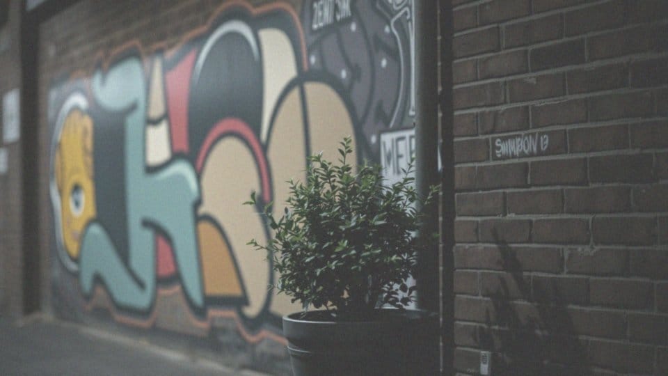 Woke co to znaczy? Zrozumienie kultury i jej wpływu